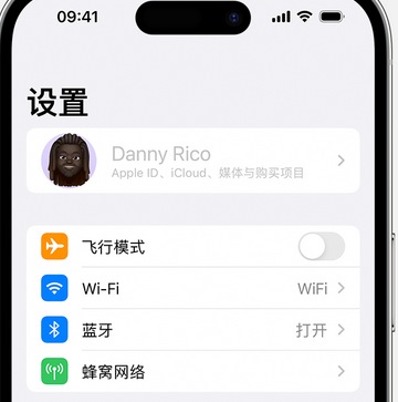 靖西appleID维修服务iPhone设置中Apple ID显示为灰色无法使用