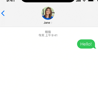 靖西apple维修iPhone上无法正常发送iMessage信息