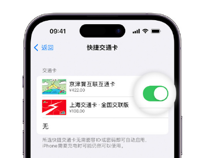 靖西apple维修点分享iPhone上更换Apple Pay快捷交通卡手绘卡面 