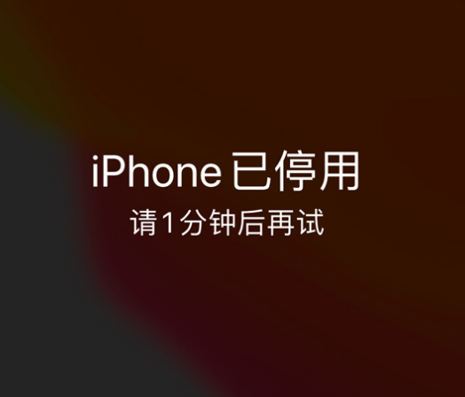 靖西苹果手机维修分享:iPhone 显示“不可用”或“已停用”怎么办？还能保留数据吗？ 