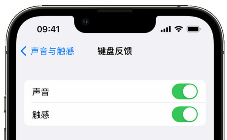 靖西苹果手机维修分享iPhone 14触感键盘使用方法 