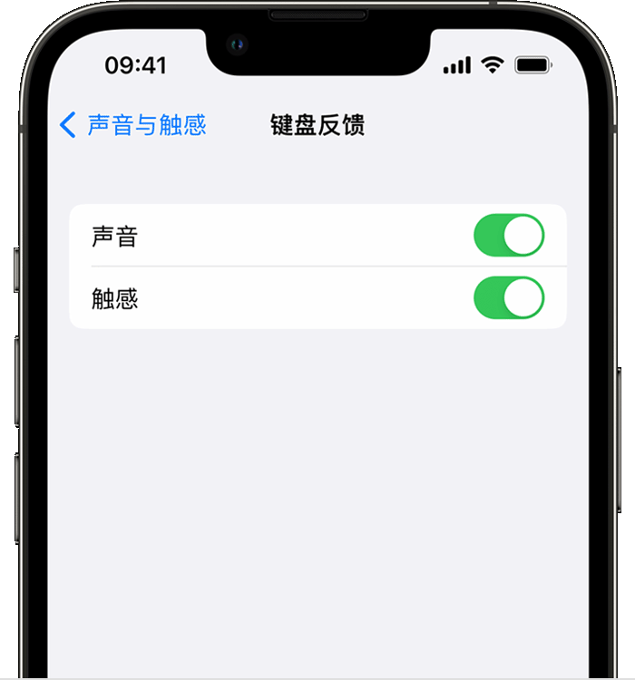 靖西苹果14维修店分享如何在 iPhone 14 机型中使用触感键盘 