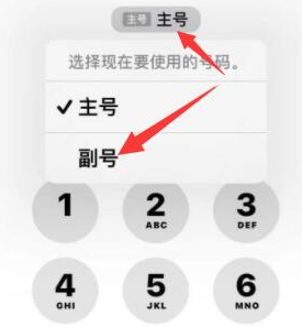 靖西苹果14维修店分享iPhone 14 Pro Max使用副卡打电话的方法 