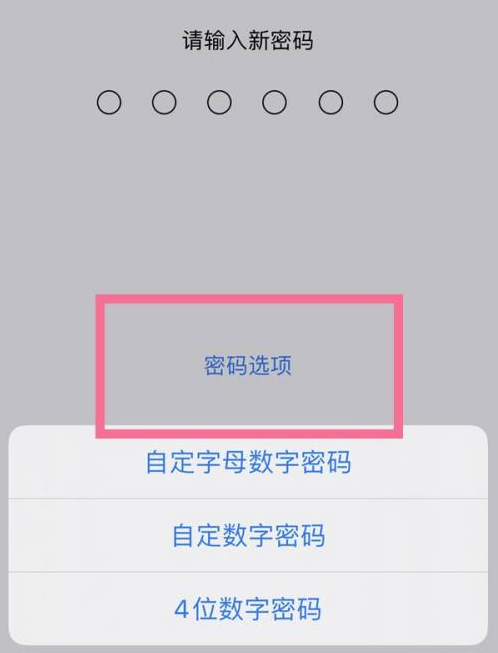 靖西苹果14维修分享iPhone 14plus设置密码的方法 