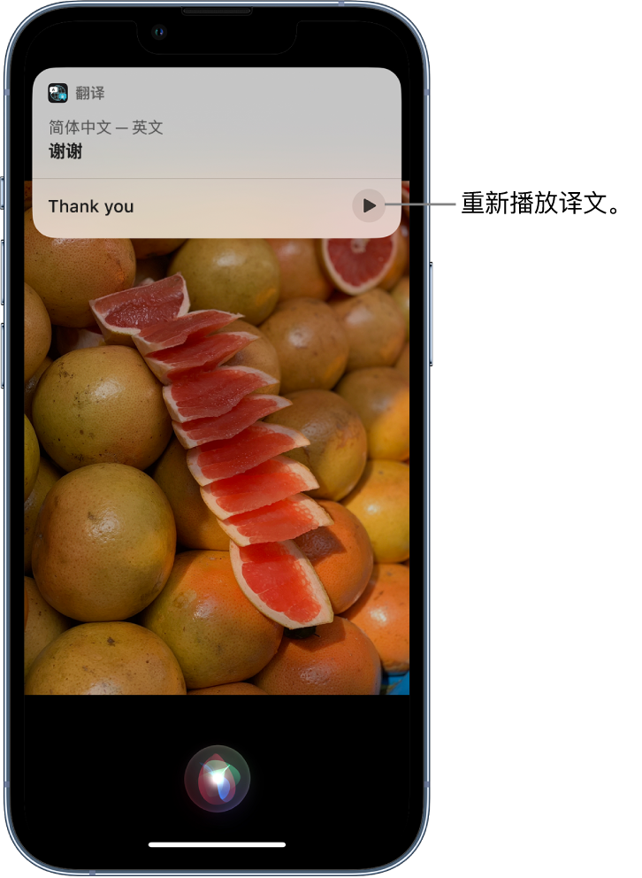 靖西苹果14维修分享 iPhone 14 机型中使用 Siri：了解 Siri 能帮你做什么 