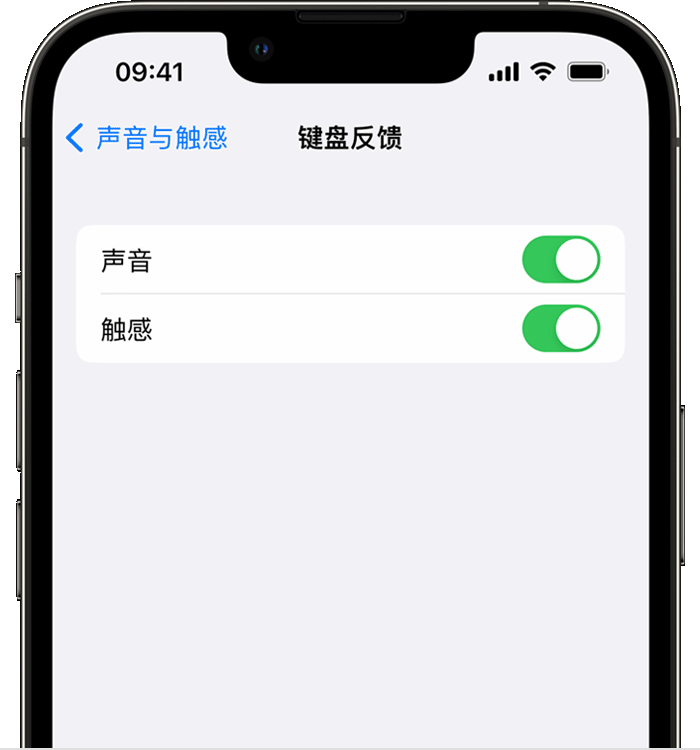 靖西苹果14维修分享iPhone 14 系列机型如何开启键盘声音或触感反馈 