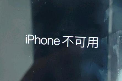 靖西苹果服务网点分享锁屏界面显示“iPhone 不可用”如何解决 