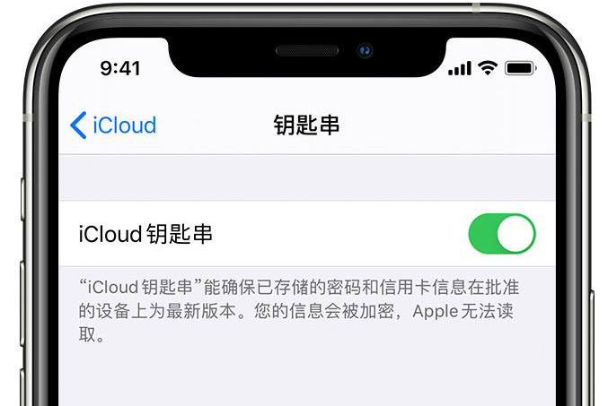 靖西苹果手机维修分享在 iPhone 上开启 iCloud 钥匙串之后会储存哪些信息 