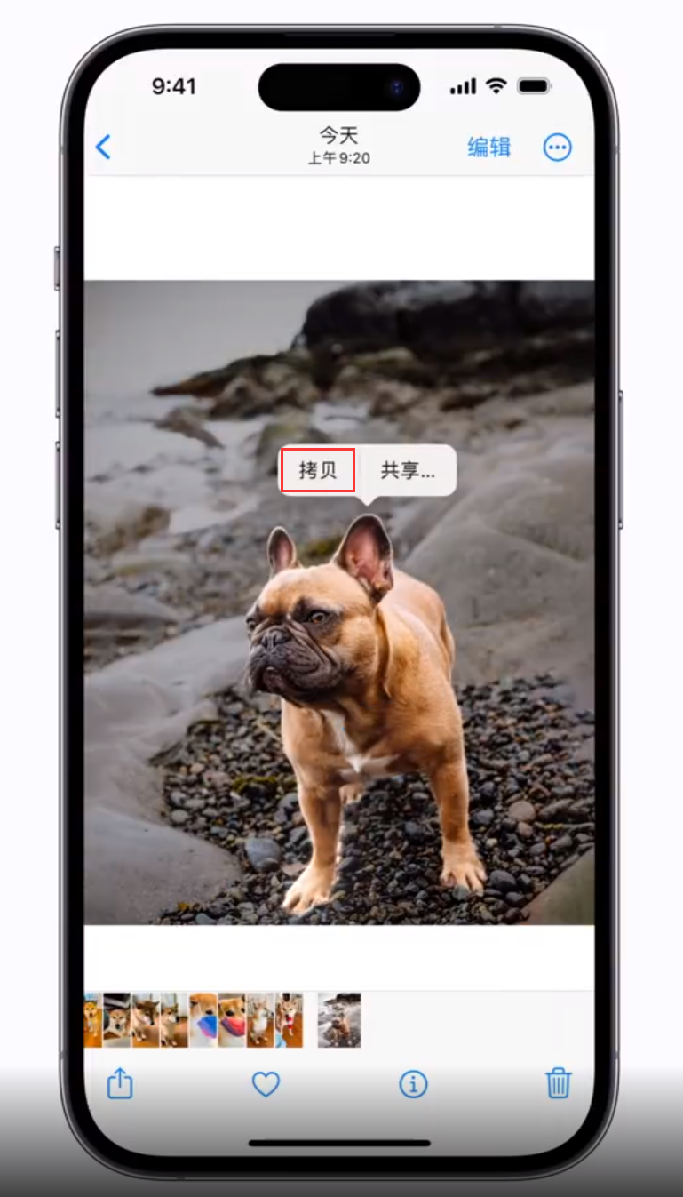 靖西苹果手机维修分享 iOS 16 自带一键抠图功能 