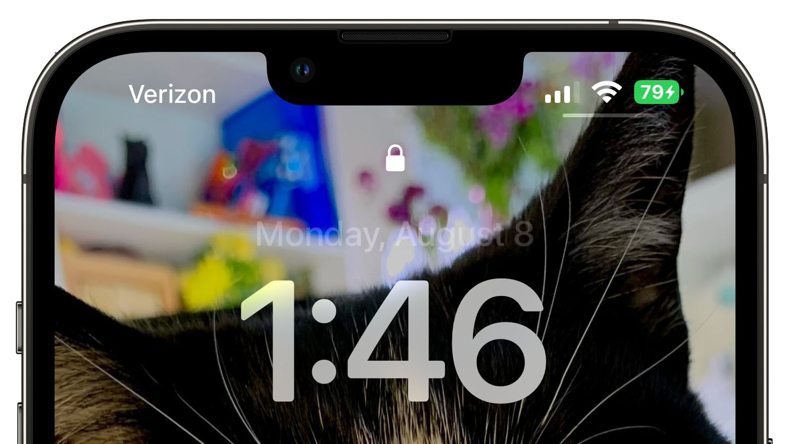 靖西苹果手机维修分享iOS 16 beta 5 支持状态栏显示电池百分比，如何开启？支持哪些机型 