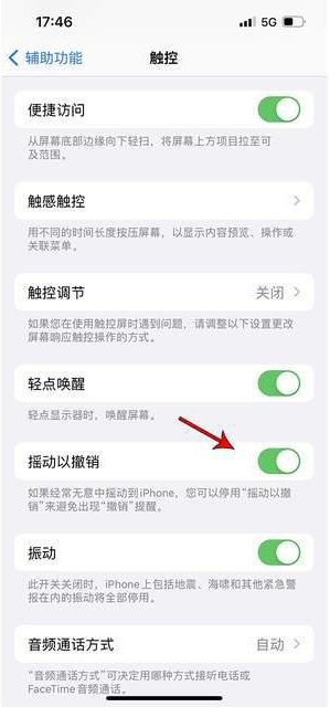 靖西苹果手机维修分享iPhone手机如何设置摇一摇删除文字 