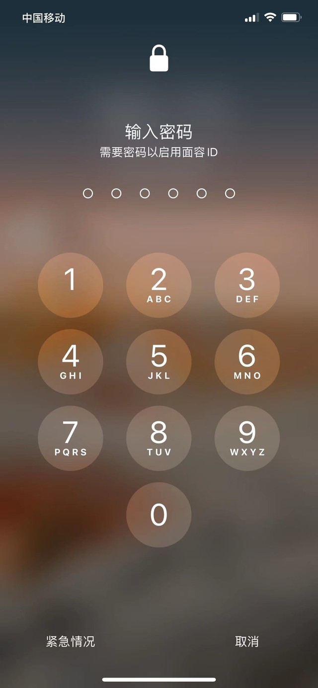 靖西苹果13维修分享iPhone 13加强锁屏功能有什么用 