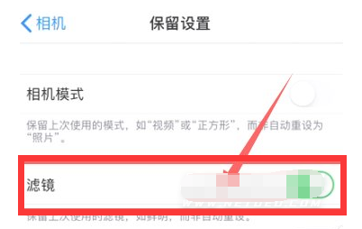 靖西苹果13维修分享iPhone13拍照有绿点是怎么回事 