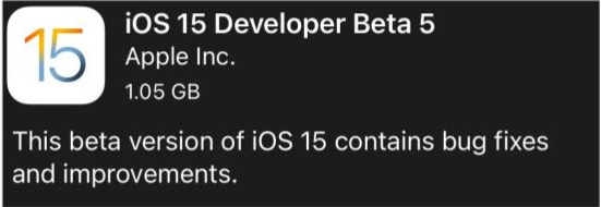 靖西苹果手机维修分享如何升级到iOS15.0 beta5 