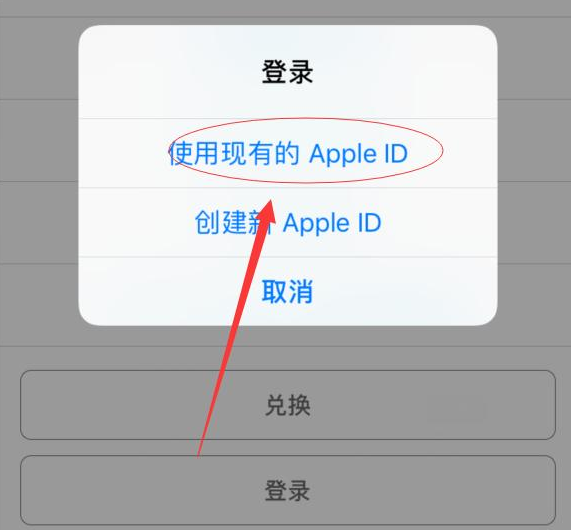 靖西苹果手机维修分享两台iPhone设备可以同时登录一个Apple ID吗 
