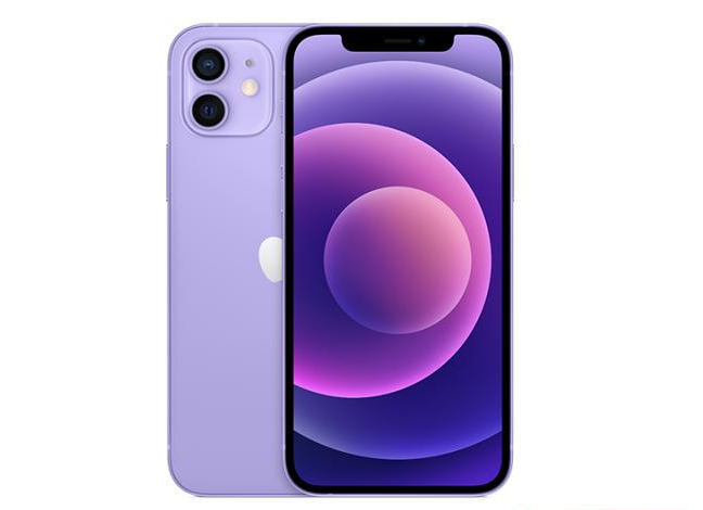 靖西苹果手机维修分享现阶段要不要入手紫色版iPhone12 