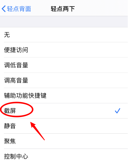 靖西苹果手机维修分享iPhone12如何启用双击截屏 