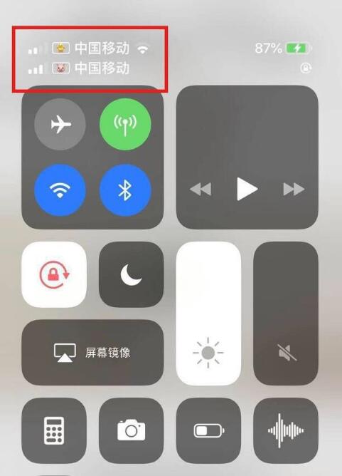靖西苹果手机维修分享为 iPhone 12 双卡设置标签 