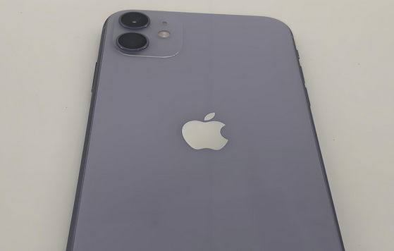 靖西苹果11系统维修分享iPhone11手机系统崩溃无法开机如何解决 